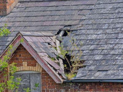 Professional emergency water extraction services services in Provo - water damage restoration service